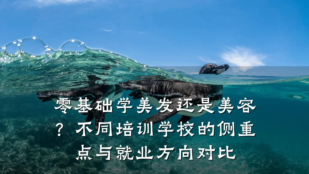 零基础学美发还是美容?不同培训学校的侧重点与就业方向对比