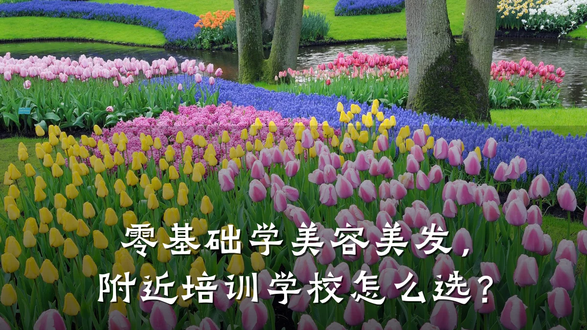 零基础学美容美发,附近培训学校怎么选?