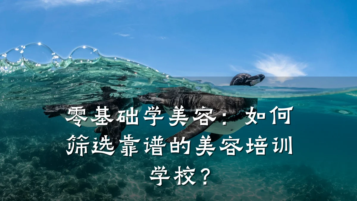 零基础学美容:如何筛选靠谱的美容培训学校?
