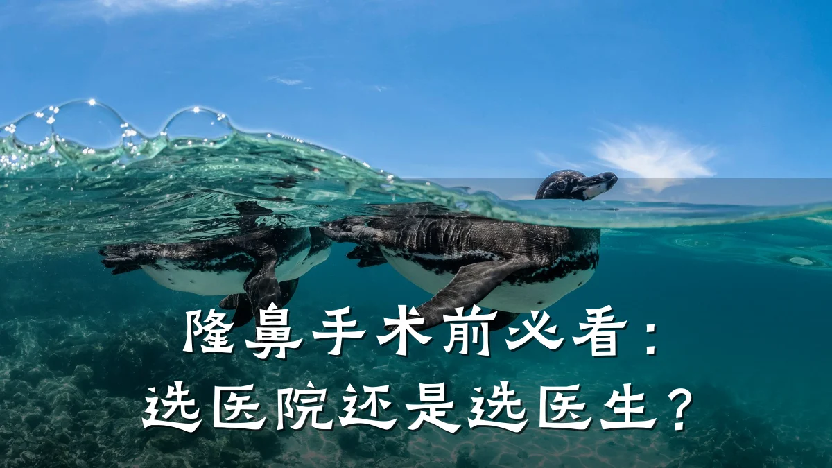 隆鼻手术前必看:选医院还是选医生?