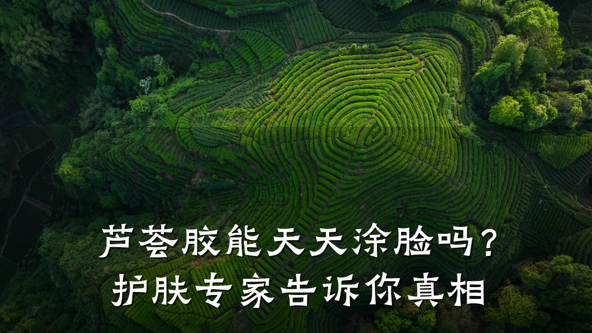 芦荟胶能天天涂脸吗?护肤专家告诉你真相
