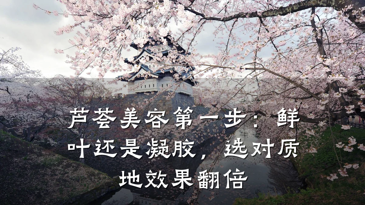 芦荟美容第一步:鲜叶还是凝胶,选对质地效果翻倍