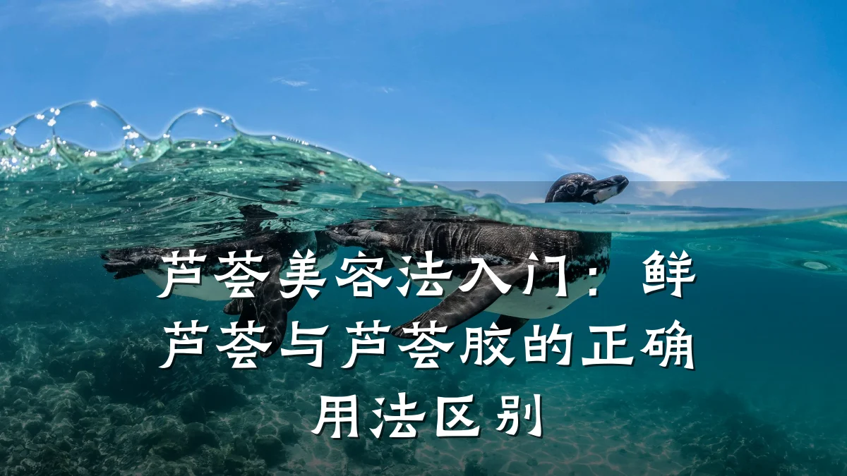 芦荟美容法入门:鲜芦荟与芦荟胶的正确用法区别