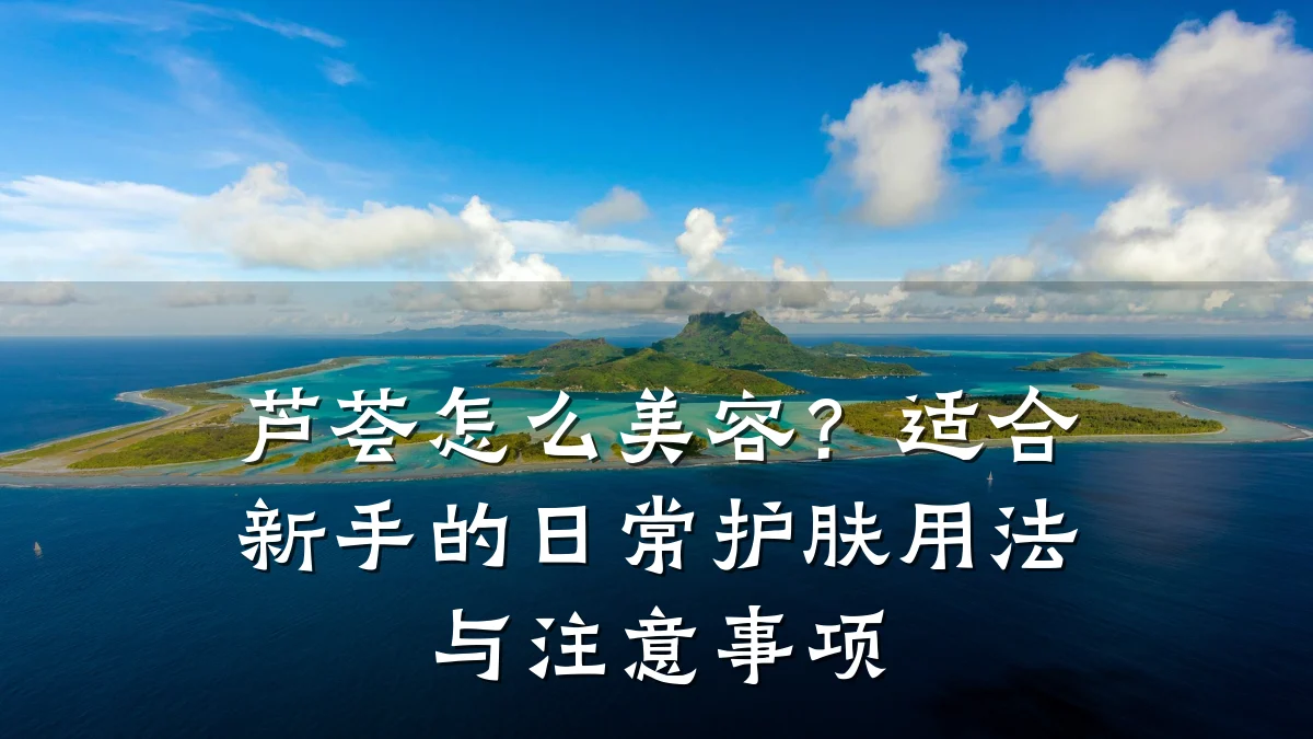 芦荟怎么美容?适合新手的日常护肤用法与注意事项
