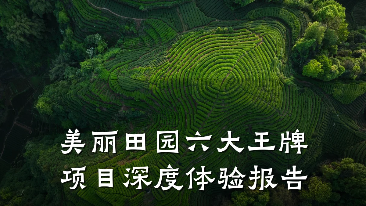 美丽田园六大王牌项目深度体验报告