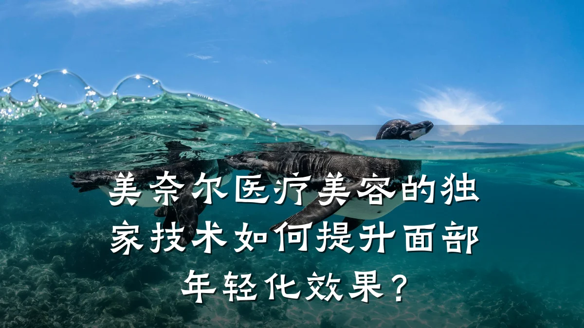 美奈尔医疗美容的独家技术如何提升面部年轻化效果?