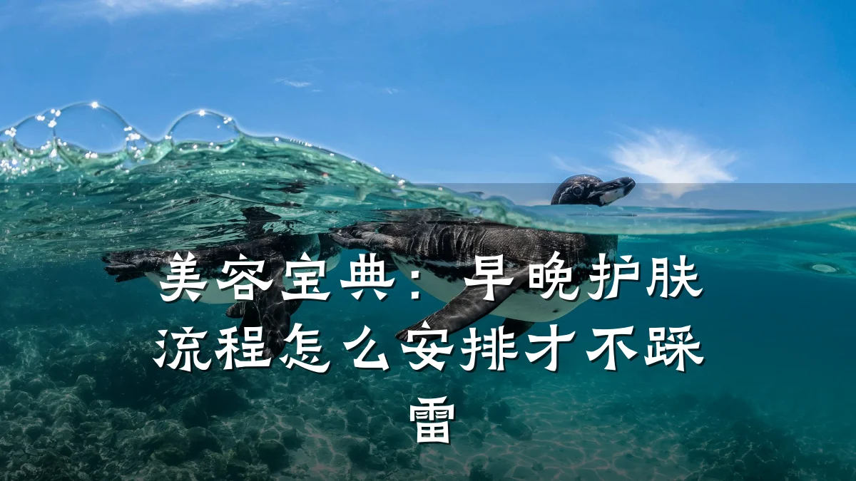 美容宝典:早晚护肤流程怎么安排才不踩雷
