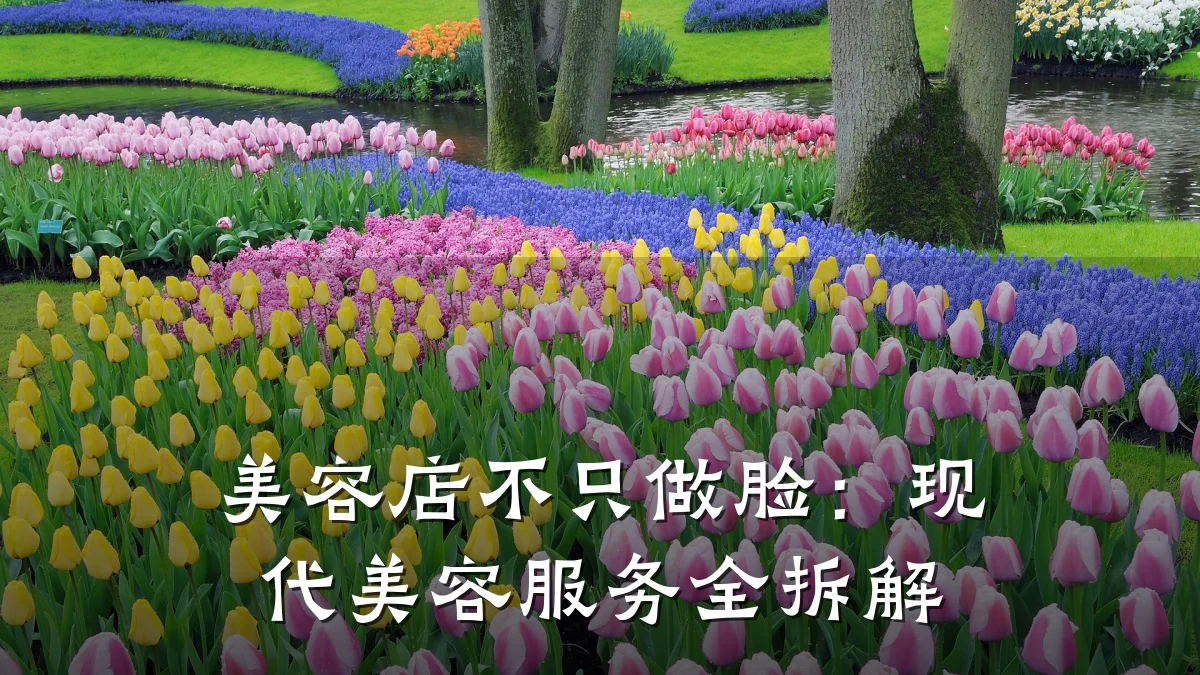 美容店不只做脸:现代美容服务全拆解