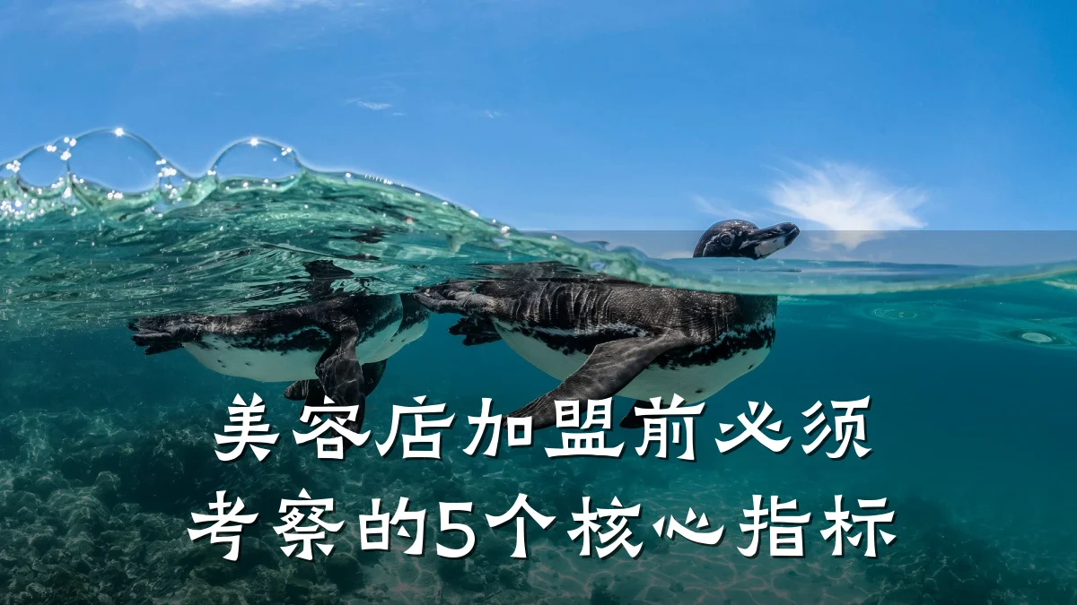 美容店加盟前必须考察的5个核心指标