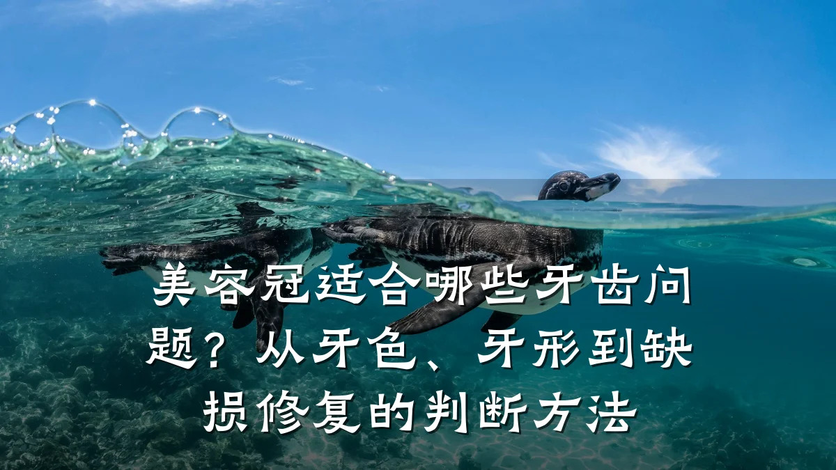 美容冠适合哪些牙齿问题？从牙色、牙形到缺损修复的判断方法