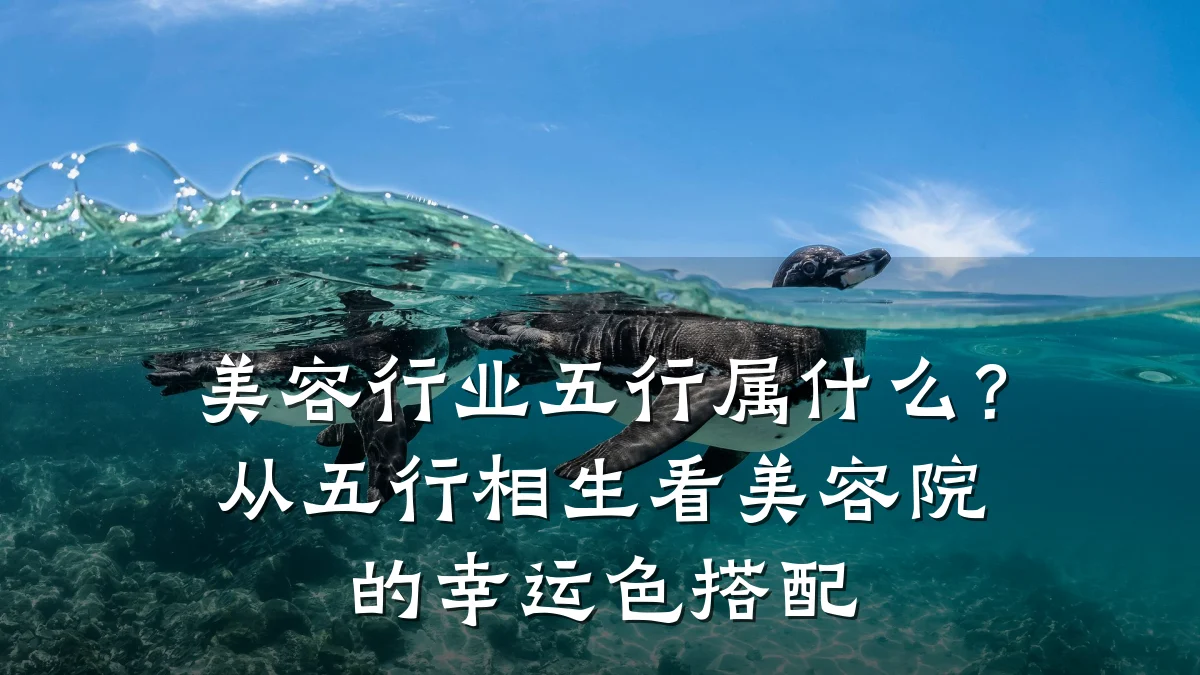 美容行业五行属什么?从五行相生看美容院的幸运色搭配