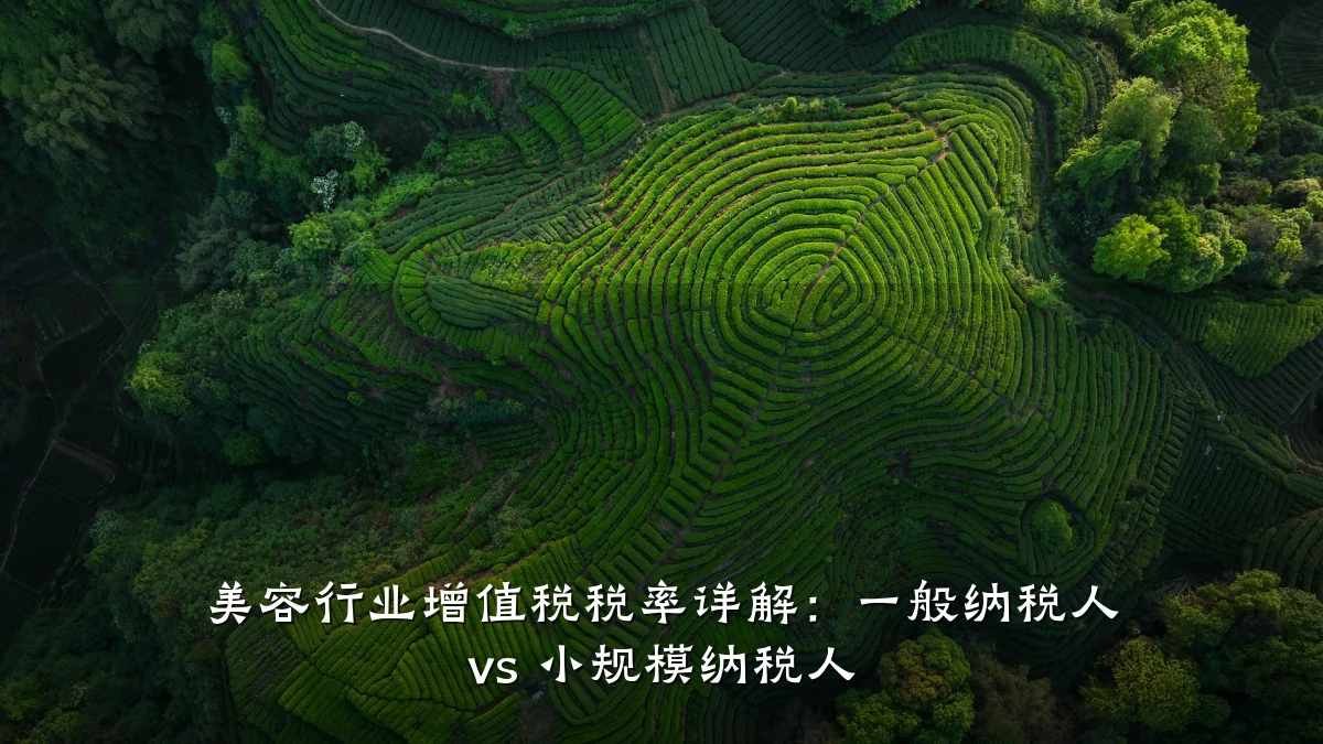 美容行业增值税税率详解:一般纳税人 vs 小规模纳税人
