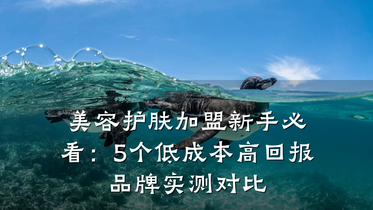 美容护肤加盟新手必看:5个低成本高回报品牌实测对比