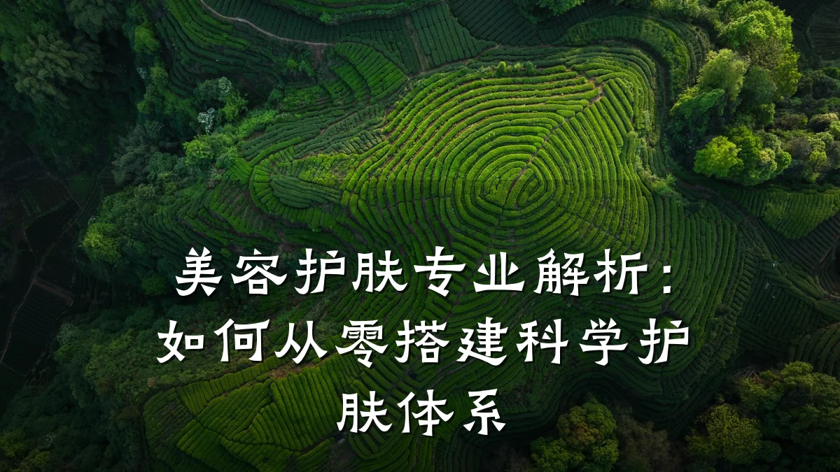 美容护肤专业解析:如何从零搭建科学护肤体系