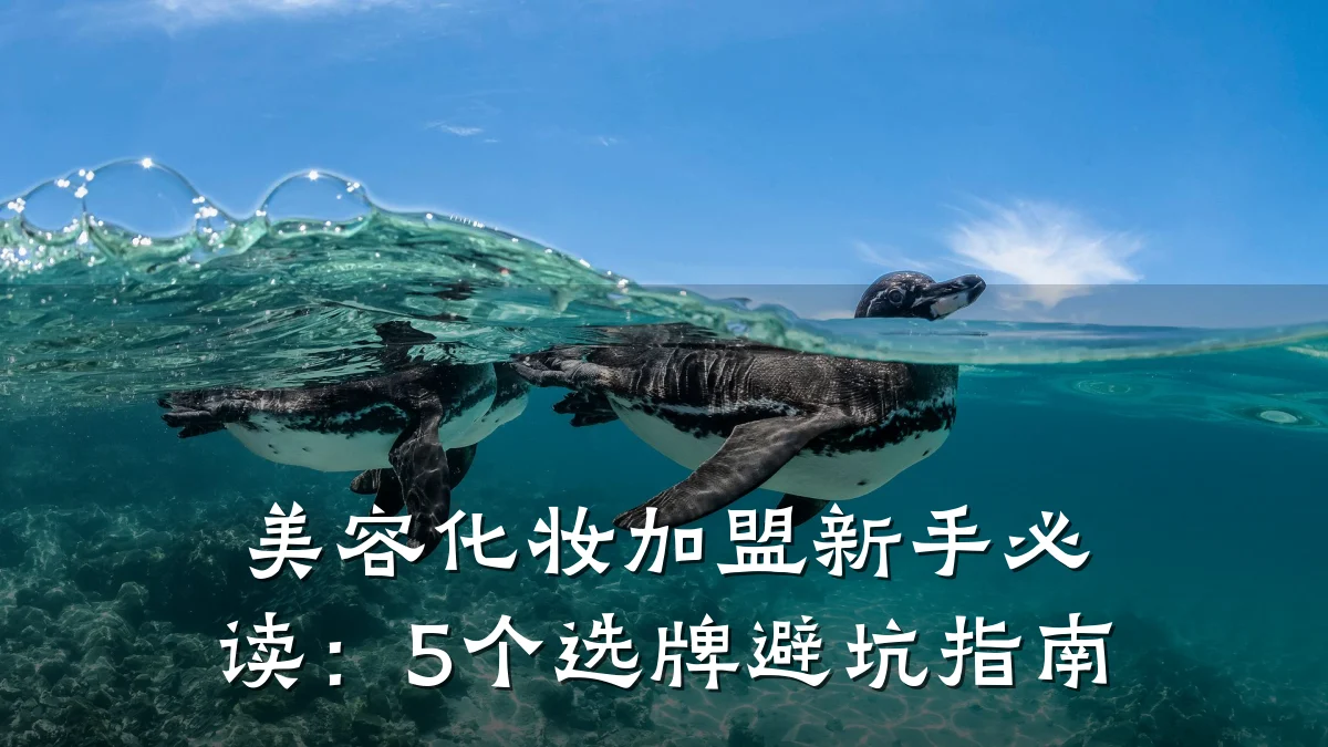 美容化妆加盟新手必读:5个选牌避坑指南