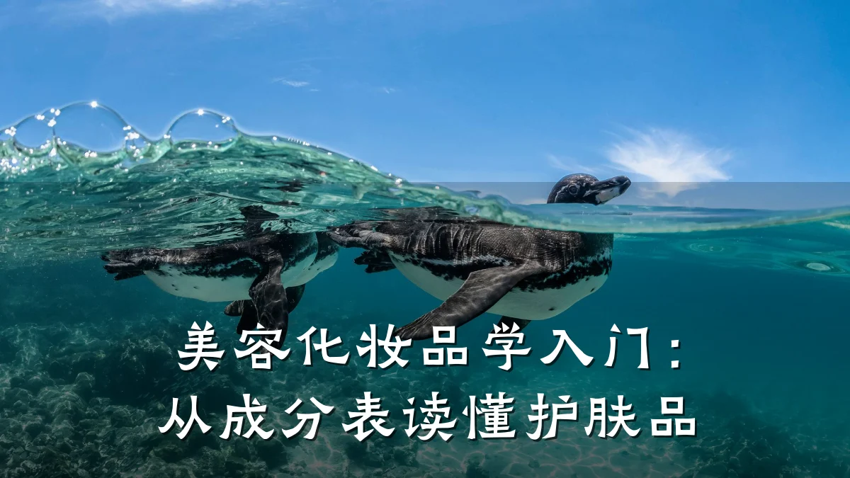 美容化妆品学入门:从成分表读懂护肤品