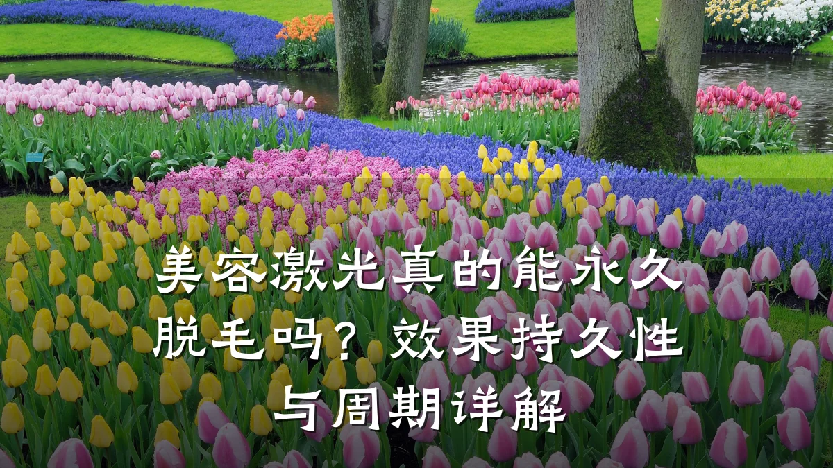 美容激光真的能永久脱毛吗?效果持久性与周期详解