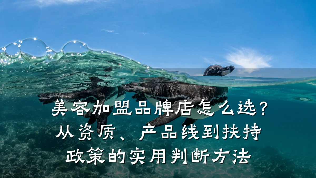 美容加盟品牌店怎么选?从资质、产品线到扶持政策的实用判断方法