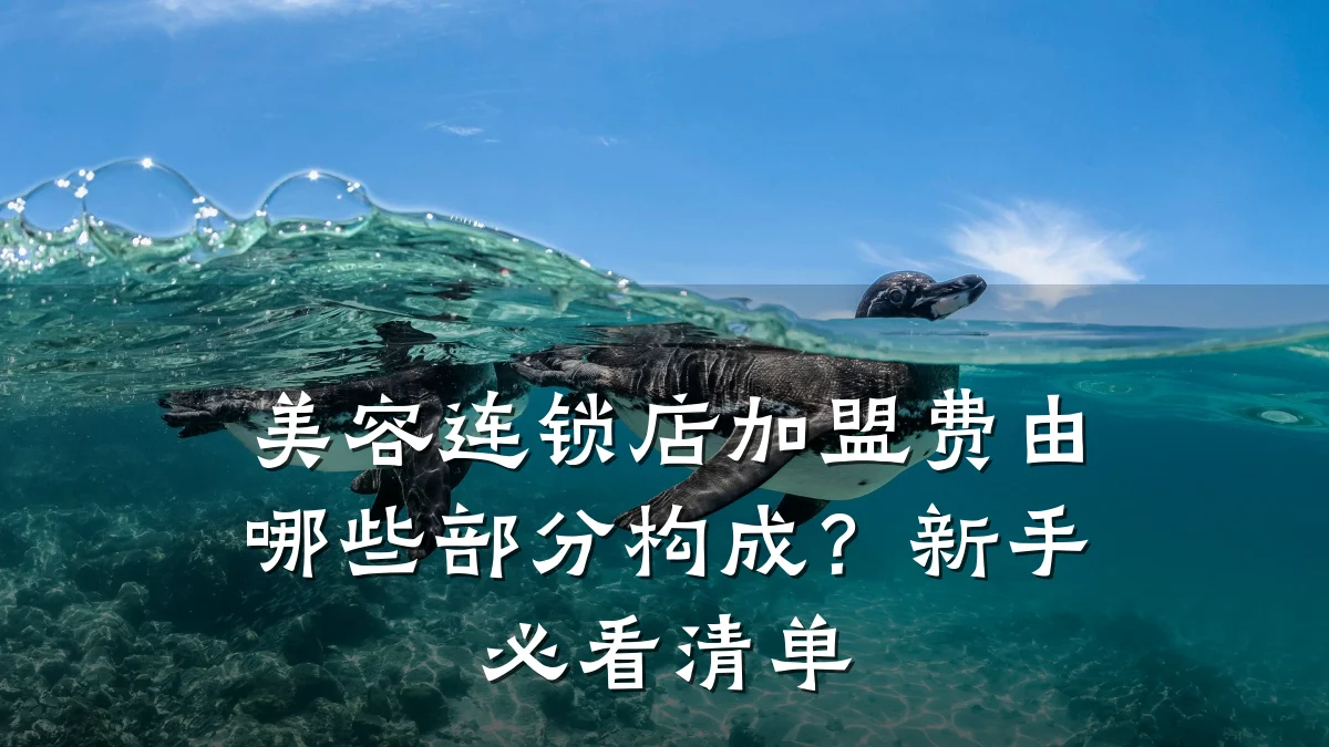 美容连锁店加盟费由哪些部分构成?新手必看清单