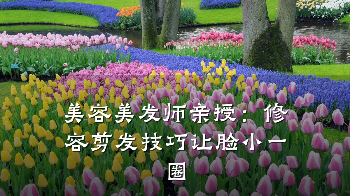 美容美发师亲授:修容剪发技巧让脸小一圈