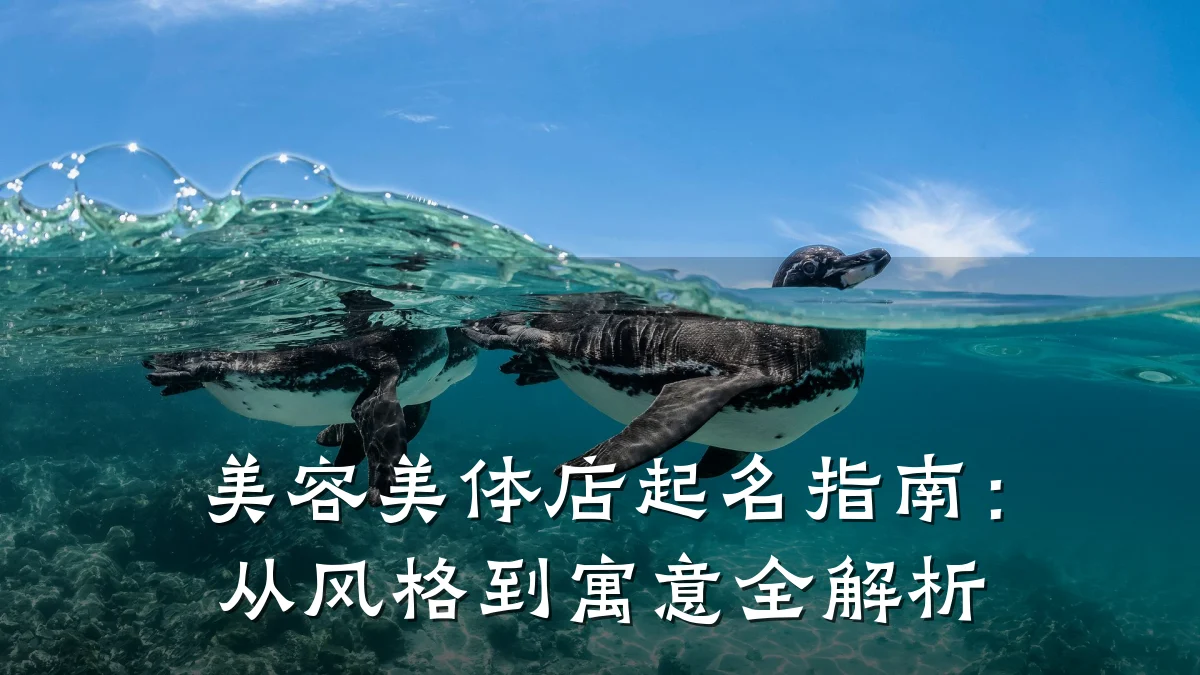 美容美体店起名指南:从风格到寓意全解析