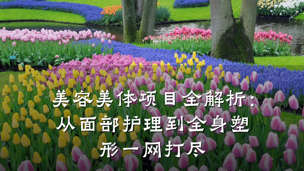 美容美体项目全解析:从面部护理到全身塑形一网打尽