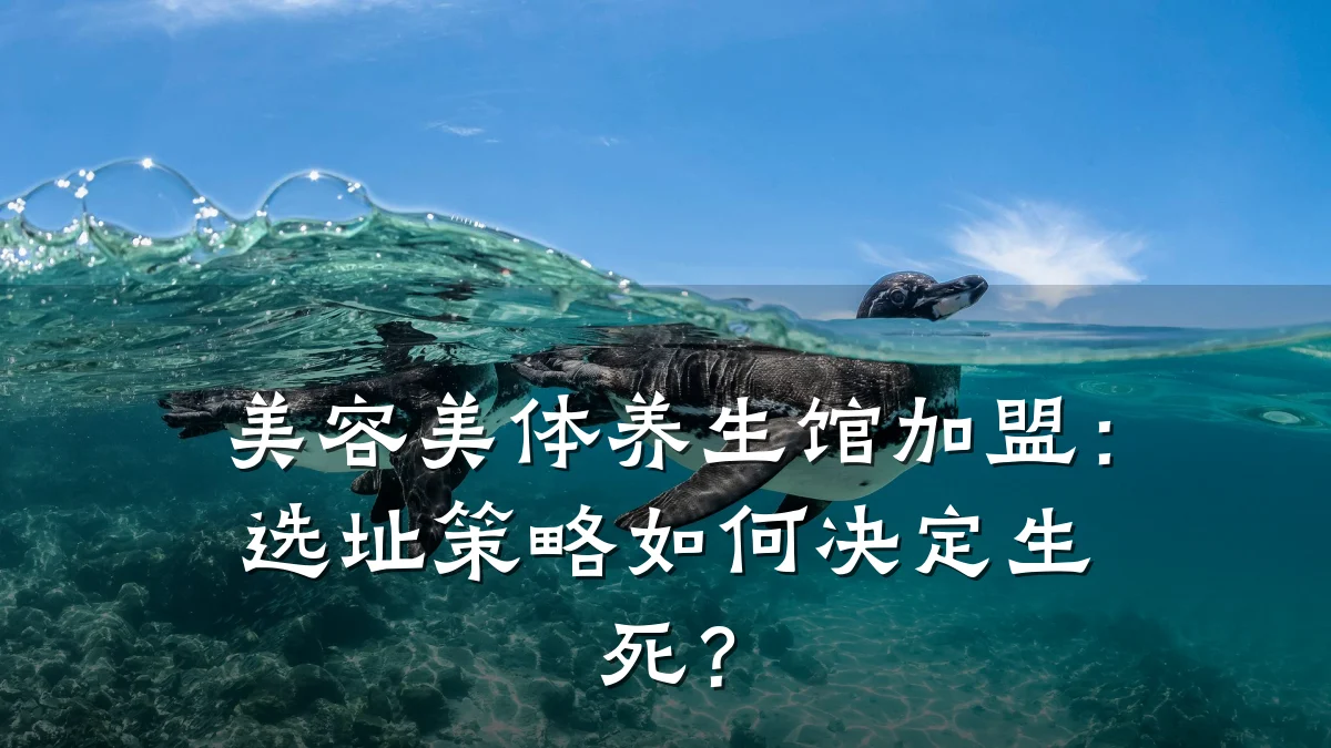 美容美体养生馆加盟：选址策略如何决定生死？