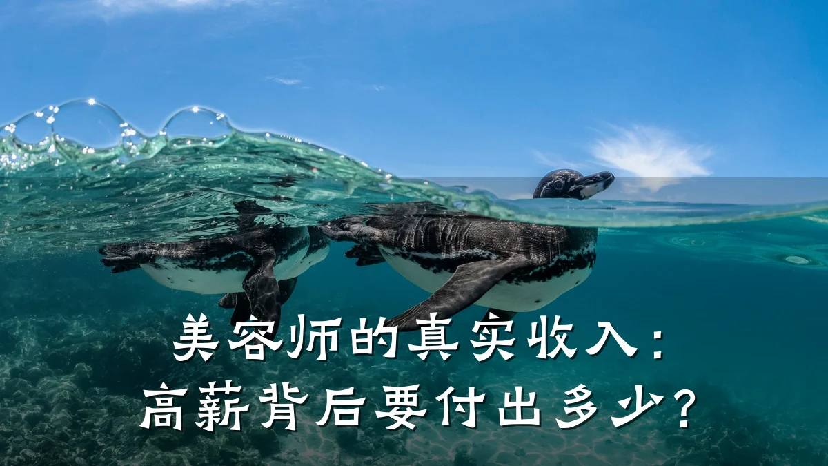 美容师的真实收入:高薪背后要付出多少?