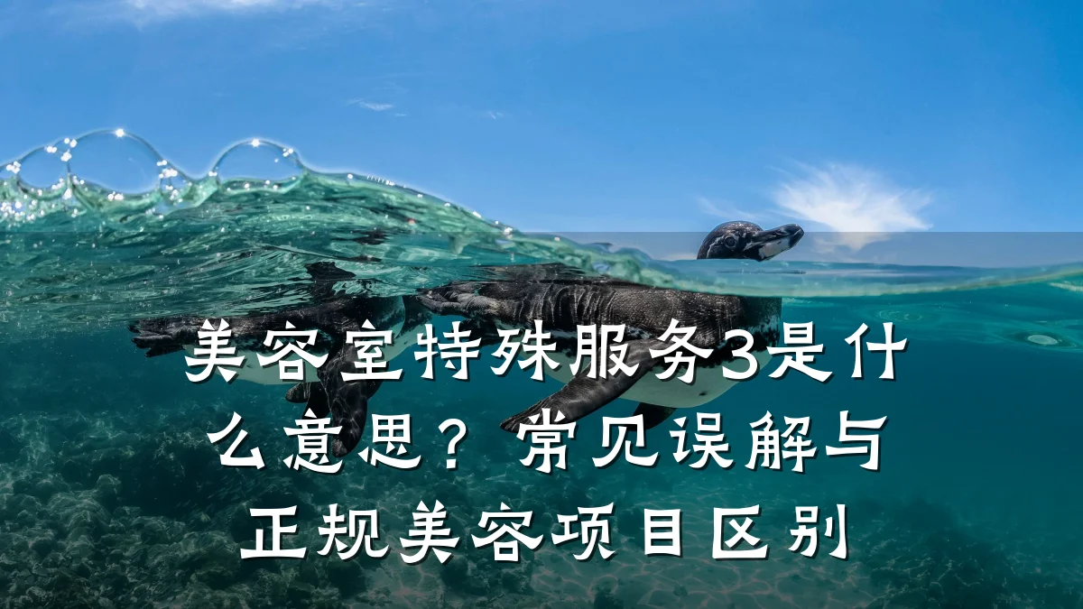 美容室特殊服务3是什么意思?常见误解与正规美容项目区别