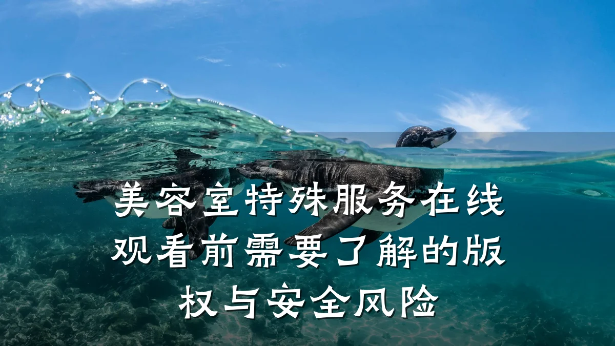 美容室特殊服务在线观看前需要了解的版权与安全风险