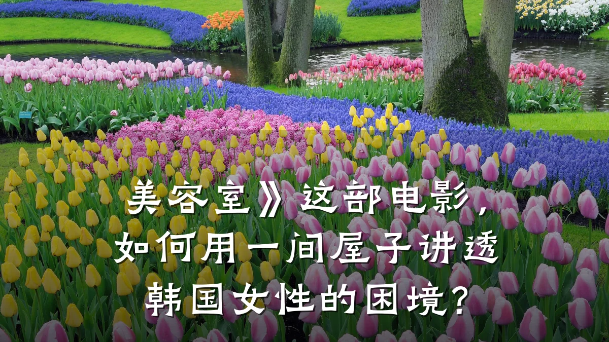 美容室》这部电影,如何用一间屋子讲透韩国女性的困境?
