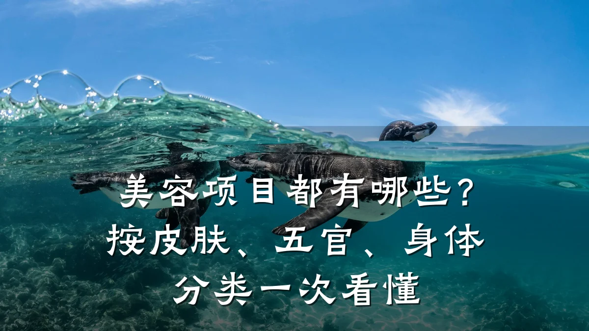 美容项目都有哪些?按皮肤、五官、身体分类一次看懂