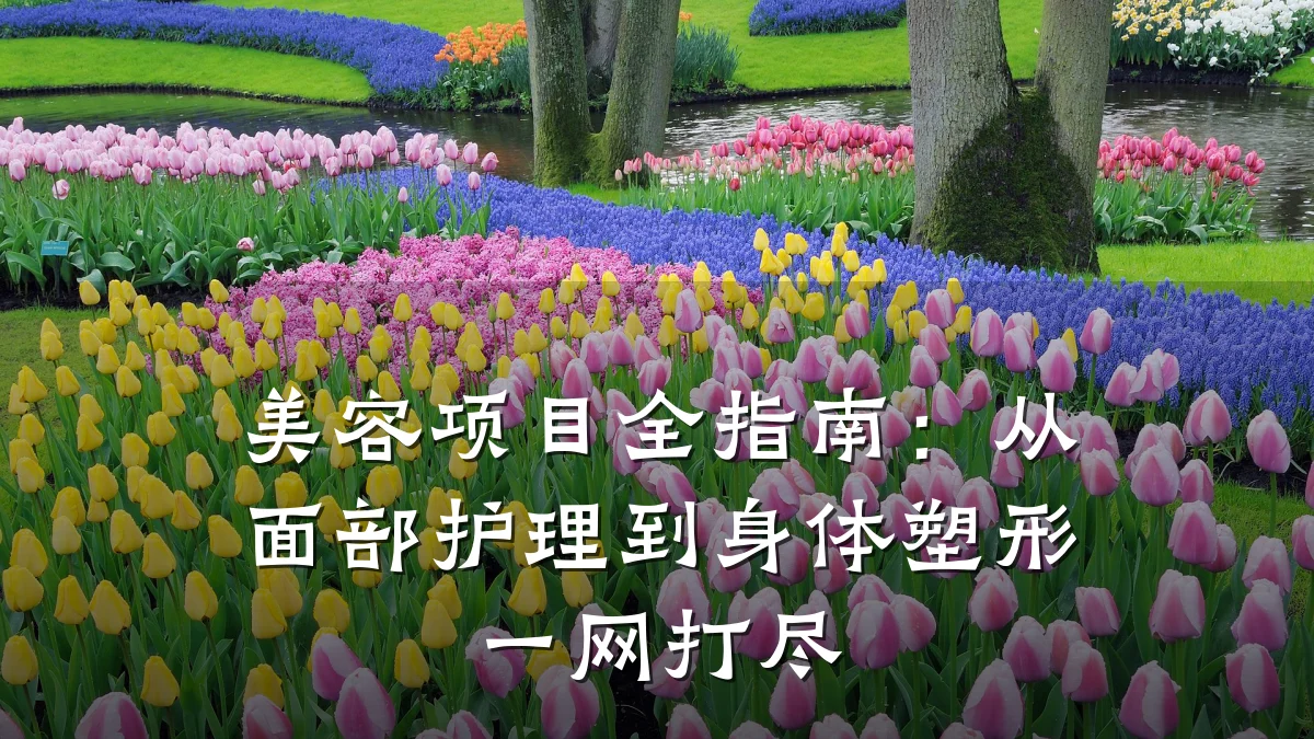美容项目全指南：从面部护理到身体塑形一网打尽