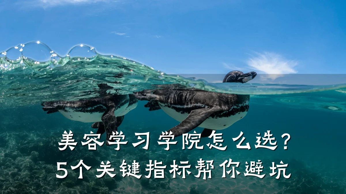 美容学习学院怎么选?5个关键指标帮你避坑