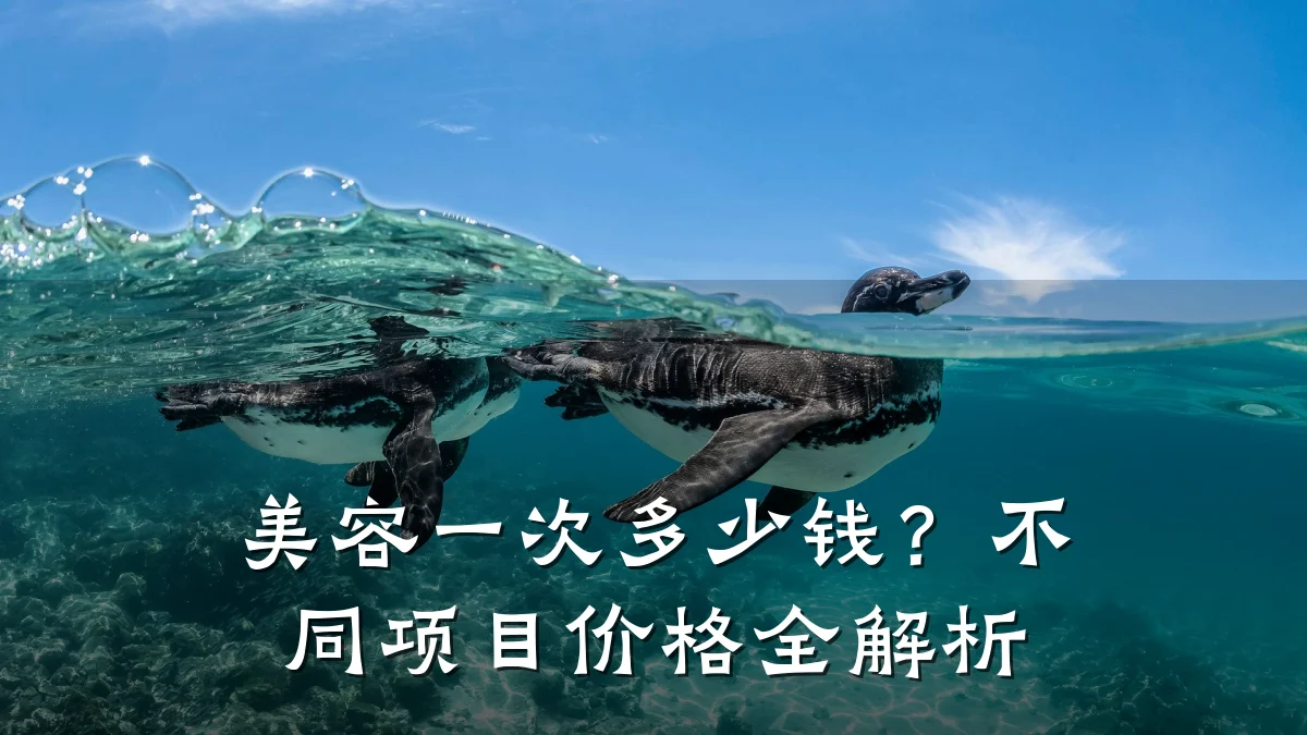 美容一次多少钱?不同项目价格全解析