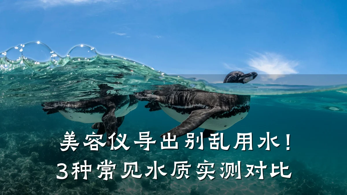 美容仪导出别乱用水!3种常见水质实测对比