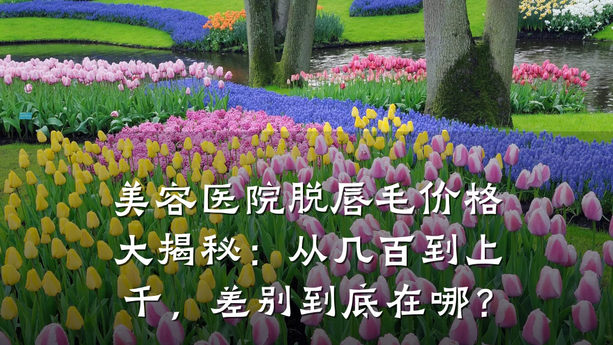 美容医院脱唇毛价格大揭秘:从几百到上千,差别到底在哪?