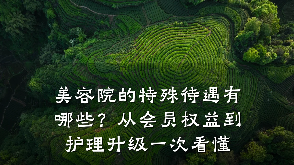 美容院的特殊待遇有哪些?从会员权益到护理升级一次看懂