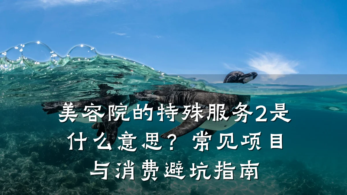 美容院的特殊服务2是什么意思?常见项目与消费避坑指南
