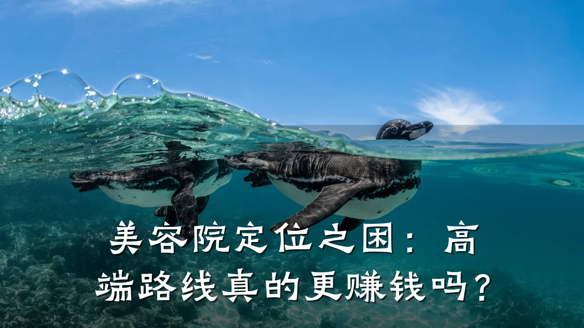 美容院定位之困:高端路线真的更赚钱吗?