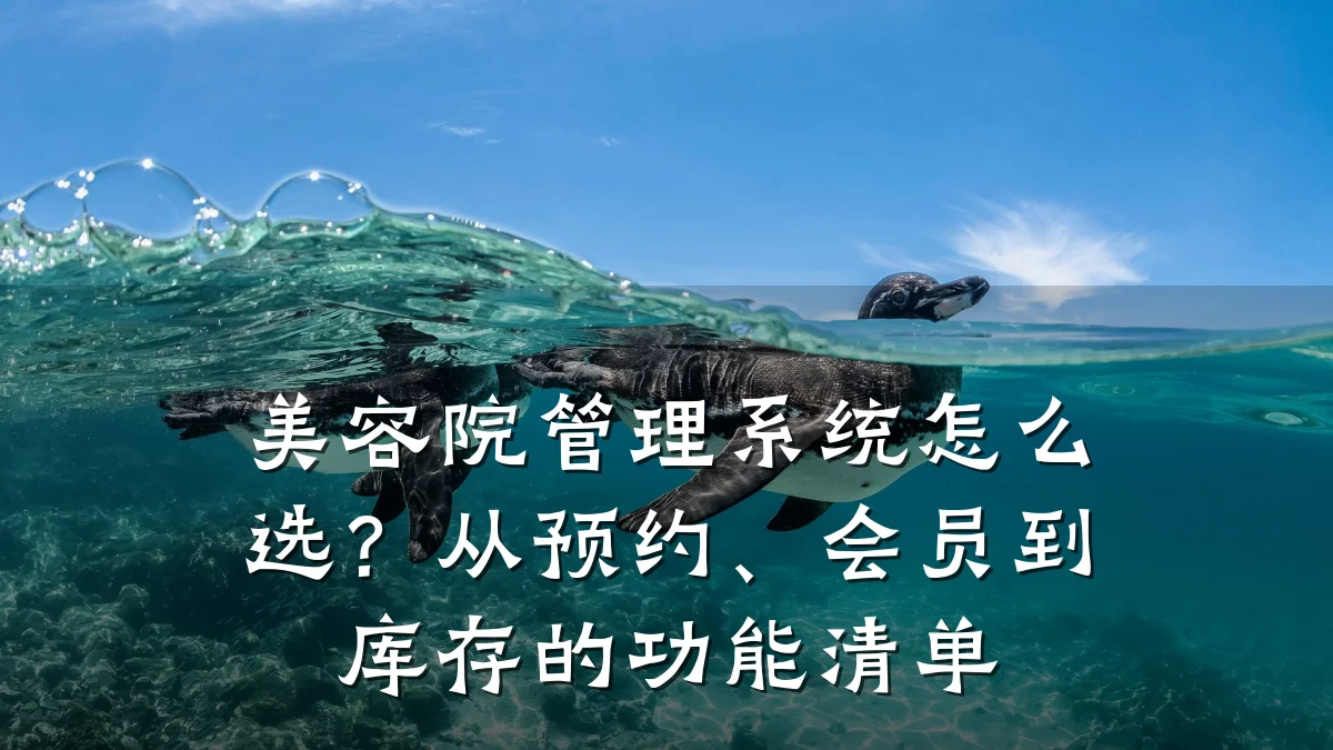 美容院管理系统怎么选?从预约、会员到库存的功能清单