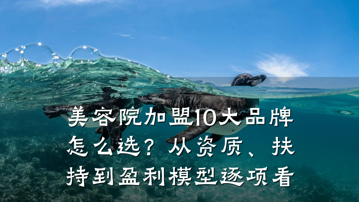 美容院加盟10大品牌怎么选?从资质、扶持到盈利模型逐项看