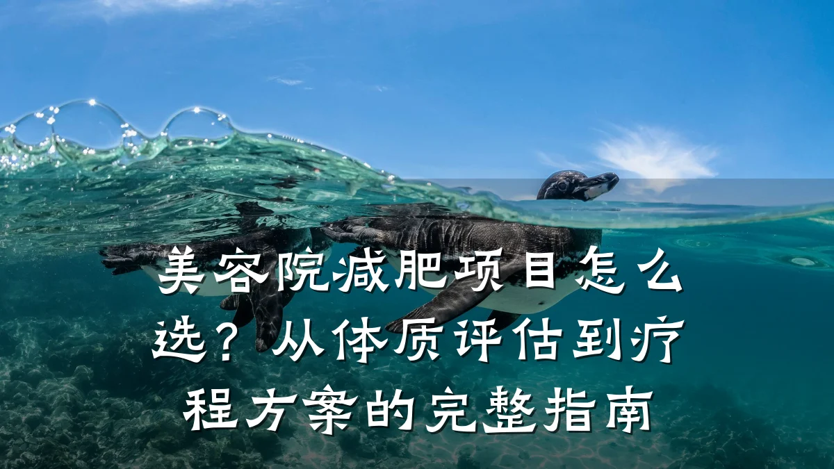 美容院减肥项目怎么选？从体质评估到疗程方案的完整指南