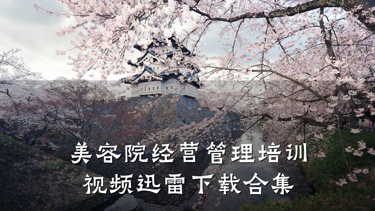 美容院经营管理培训视频迅雷下载合集