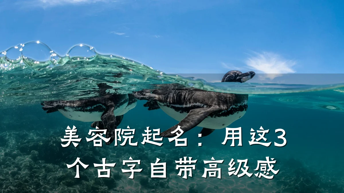 美容院起名:用这3个古字自带高级感