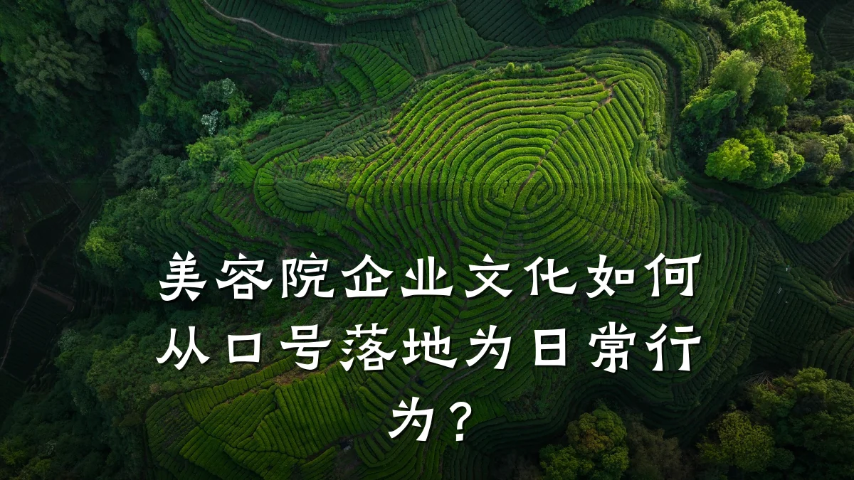 美容院企业文化如何从口号落地为日常行为?