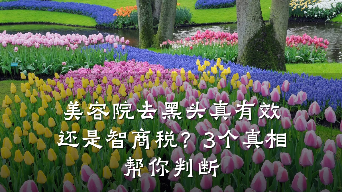 美容院去黑头真有效还是智商税?3个真相帮你判断