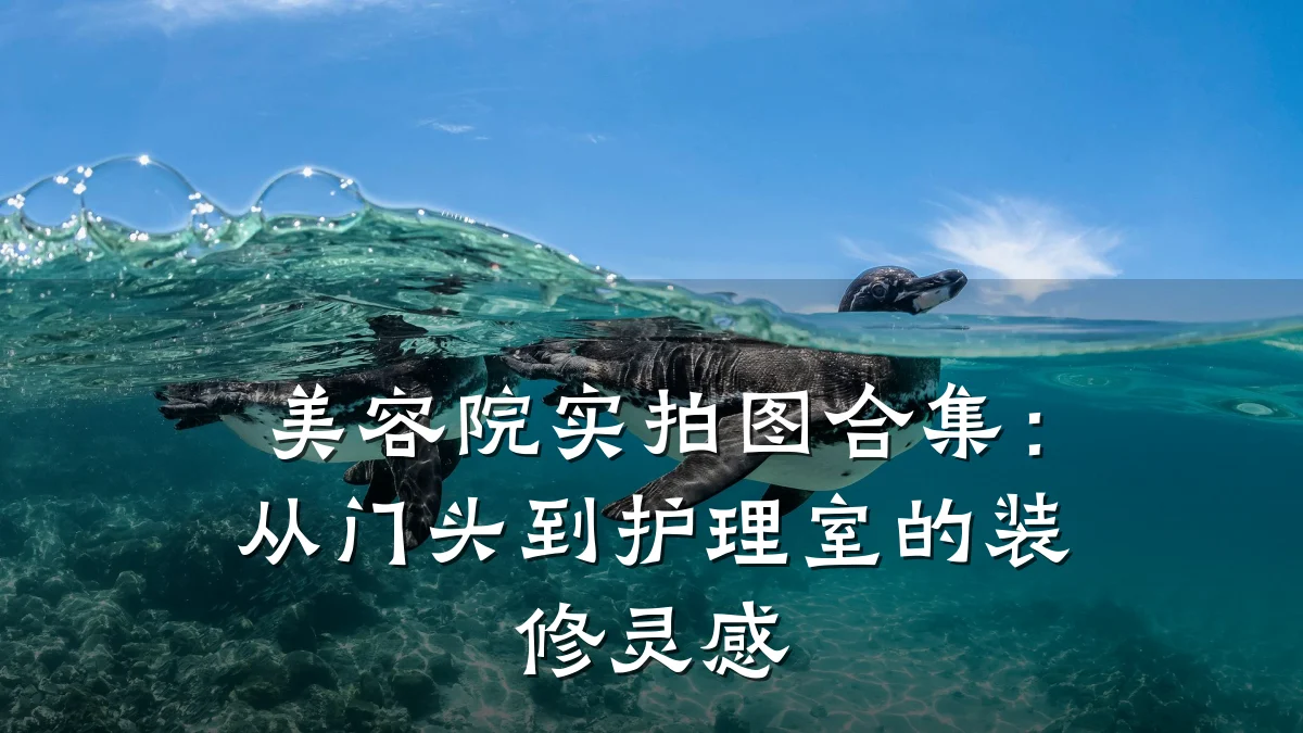 美容院实拍图合集:从门头到护理室的装修灵感