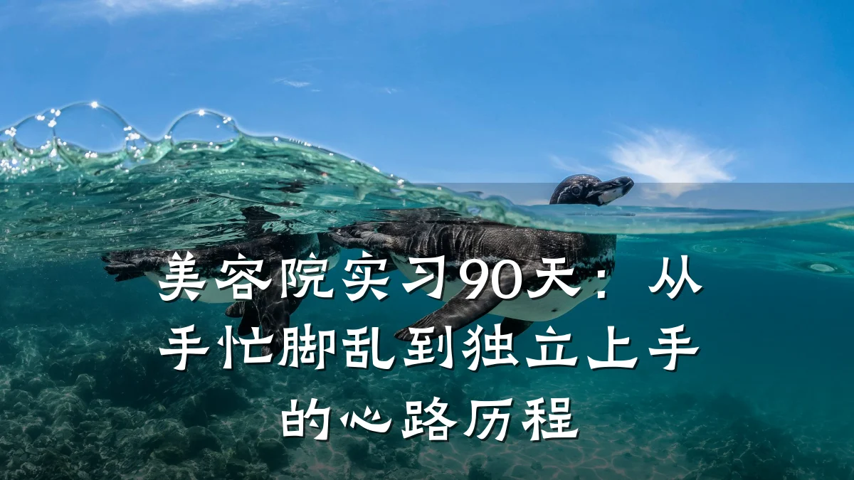 美容院实习90天:从手忙脚乱到独立上手的心路历程