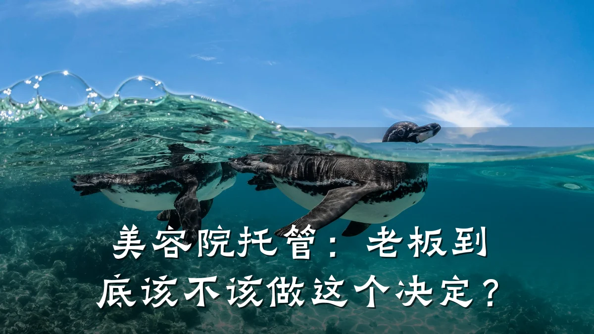 美容院托管:老板到底该不该做这个决定?